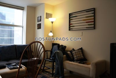 Downtown Apartment for rent 1 Bedroom 1 Bath Boston - $2,995