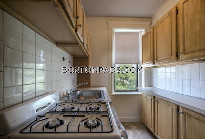 Allston Studio 1 Bath Boston - $1,900