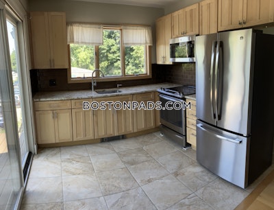 Lower Allston 3 Beds 1 Bath Boston - $3,300