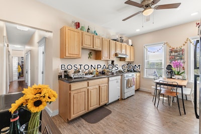 Cambridge 4 Beds 1 Bath  Central Square/cambridgeport - $4,850