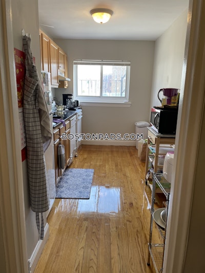 Brighton 1 Bed 1 Bath Boston - $2,340