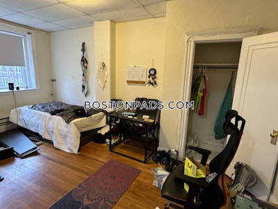 Brighton 1 Bed 1 Bath BOSTON Boston - $2,125 No Fee