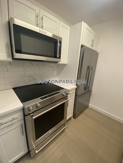 Downtown 1 Bed 1 Bath Boston - $3,365 No Fee