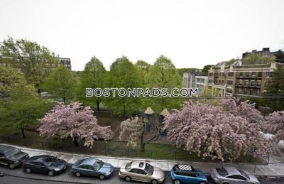 Brighton 1 Bed 1 Bath BOSTON Boston - $2,650 No Fee