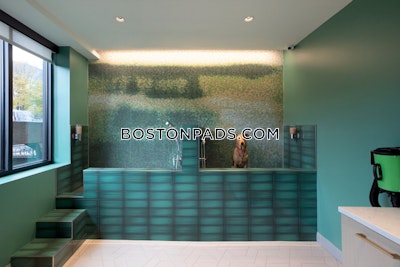 Mission Hill 2 Beds No Bath Boston - $3,185 No Fee