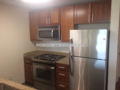 Dorchester Apartment for rent 1 Bedroom 1 Bath Boston - $4,117 No Fee