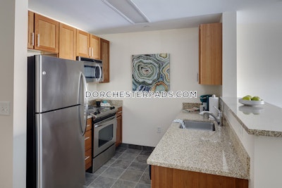 Dorchester Apartment for rent Studio 1 Bath Boston - $3,915 No Fee