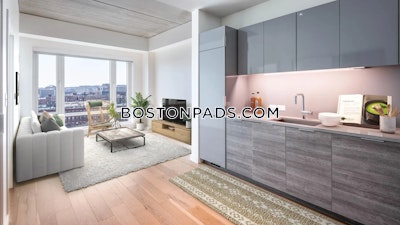 South End 2 bedroom  baths Luxury in BOSTON Boston - $4,465