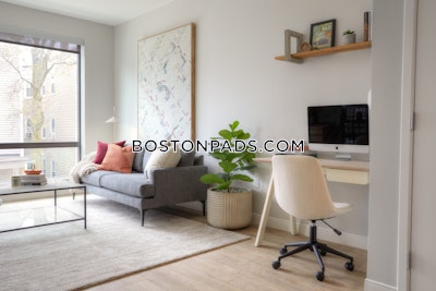 Dorchester 1 bedroom  Luxury in BOSTON Boston - $2,995