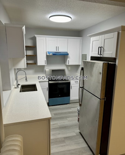 Brighton Apartment for rent 2 Bedrooms 1 Bath Boston - $2,595 50% Fee