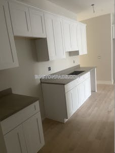 Allston Apartment for rent 2 Bedrooms 2 Baths Boston - $4,625 No Fee