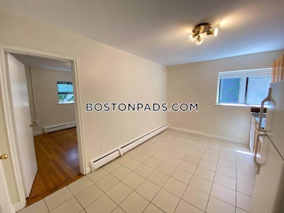 Allston Apartment for rent 1 Bedroom 1 Bath Boston - $2,150