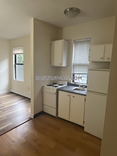 Mission Hill Apartment for rent 1 Bedroom 1 Bath Boston - $2,200