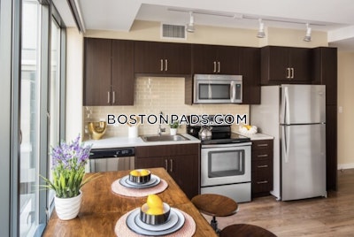 Downtown Apartment for rent Studio 1 Bath Boston - $2,870