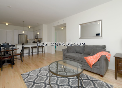 Cambridge Apartment for rent 2 Bedrooms 2 Baths  Mt. Auburn/brattle/ Fresh Pond - $4,300 50% Fee