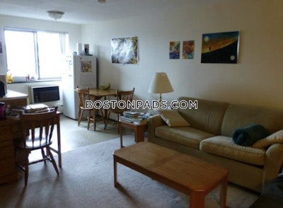 Cambridge Apartment for rent Studio 1 Bath  Davis Square - $2,100