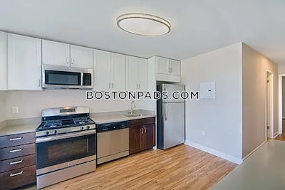 Brighton Apartment for rent 3 Bedrooms 1 Bath Boston - $3,760 No Fee